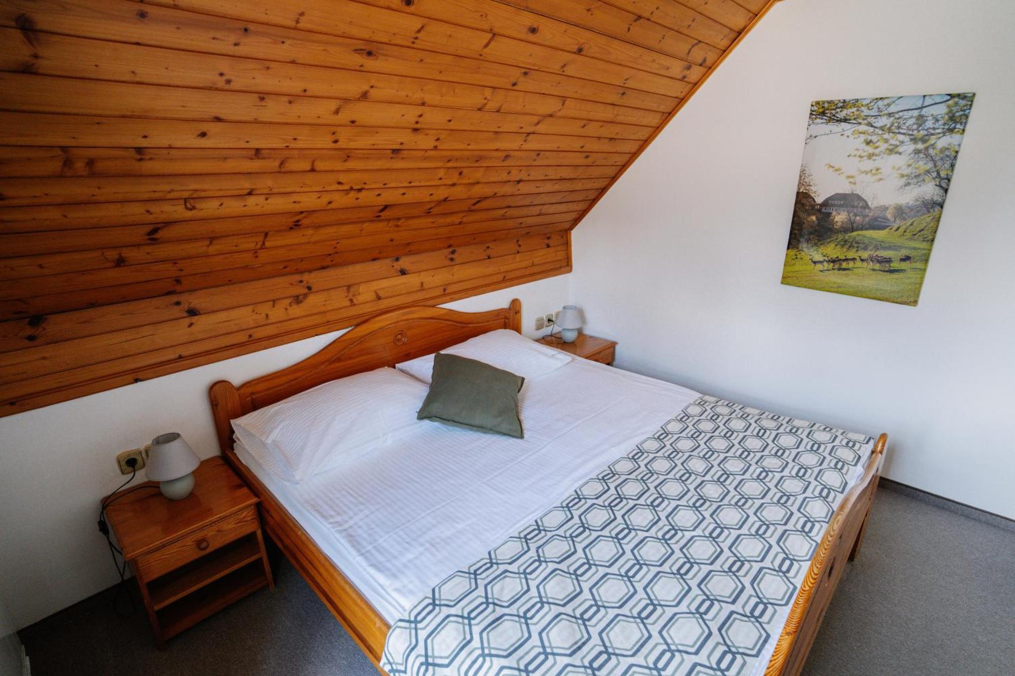Guesthouse Jelenov Greben ポドチェトルテク エクステリア 写真